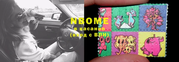 мдпв Горнозаводск