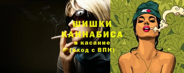 мдпв Горнозаводск