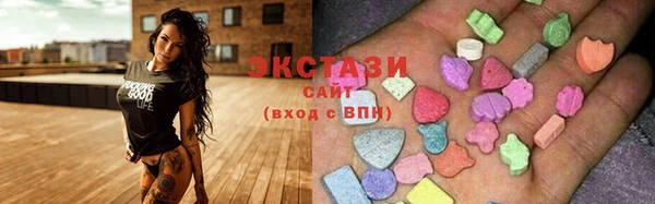 дмт Вяземский