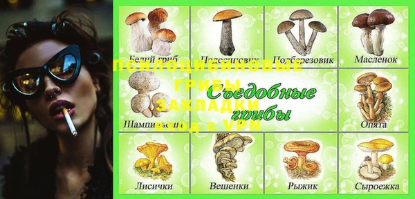 спиды Вязьма