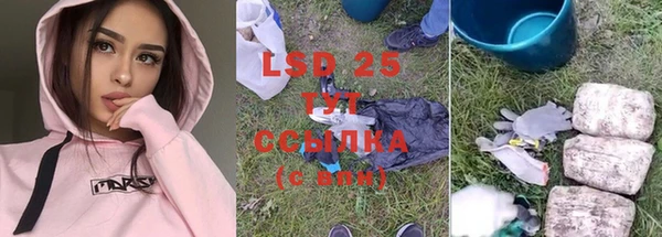ГАЛЛЮЦИНОГЕННЫЕ ГРИБЫ Вязники