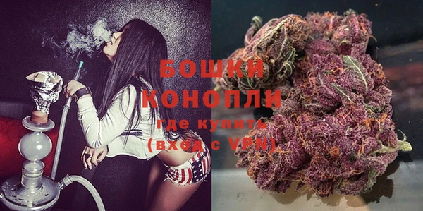прущий лед Горняк