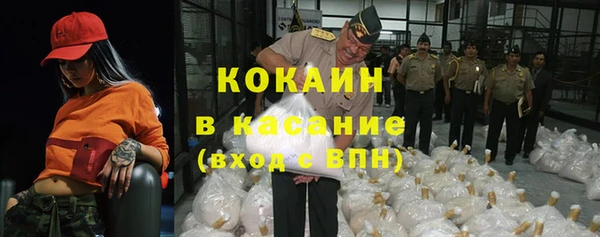 ГАЛЛЮЦИНОГЕННЫЕ ГРИБЫ Вязники
