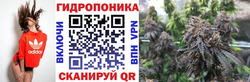 Купить где  Темрюк  Бошки марихуана THC 21% 